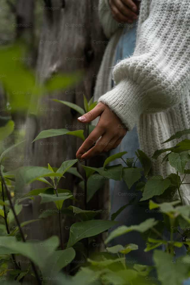 Hand between branches - Catholic stock images