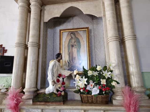 Juan Diego ante la Virgen de Guadalupe - Banco de imágenes católicas