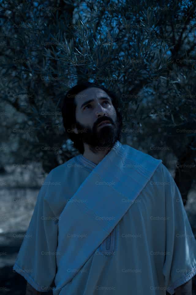 Jesús en el huerto de Getsemaní - Banco de imágenes católicas - Fotografía por Cathopic