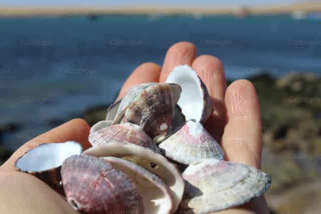 Belezas do mar - Imagens católicas de stock