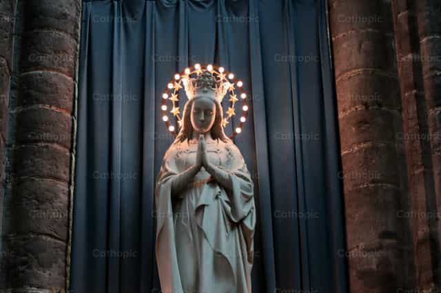 Inmaculada Concepción - Banco de imágenes católicas - Fotografía por encaminados vamos