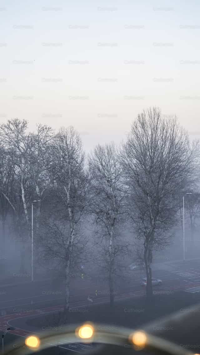 Christmas time - winter - Catholic stock images - Photo by Jakov Pleše