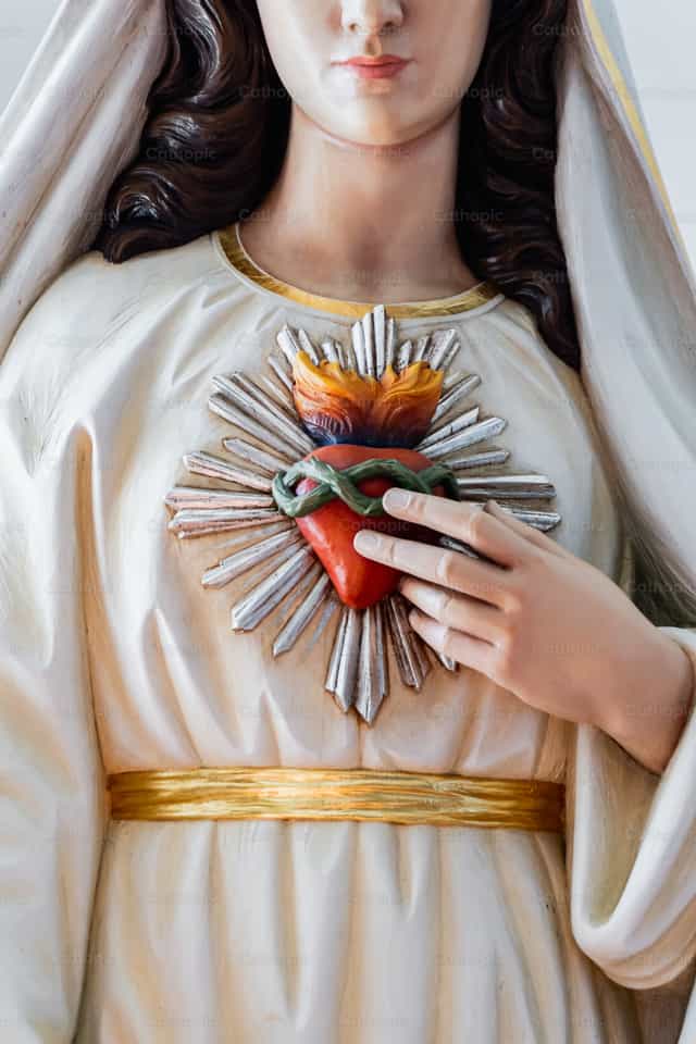 Corazón de Maria Madre - Banco de imágenes católicas - Fotografía por Jakov Pleše