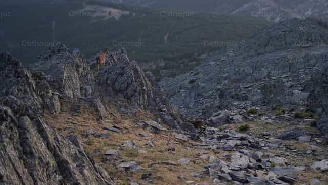 Il dettaglio della creazione - Immagini stock cattoliche - Foto di Javier Sanz Barbero