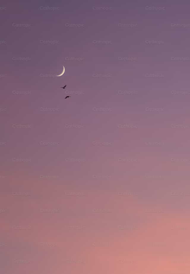 Luna - Banco de imágenes católicas - Fotografía por Saul Ibarra