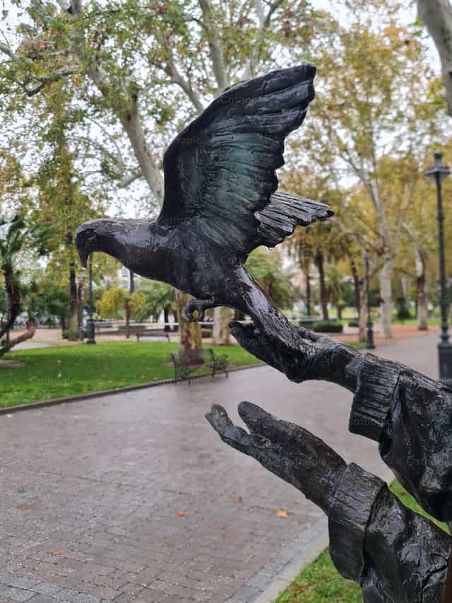 Volar - Banco de imágenes católicas