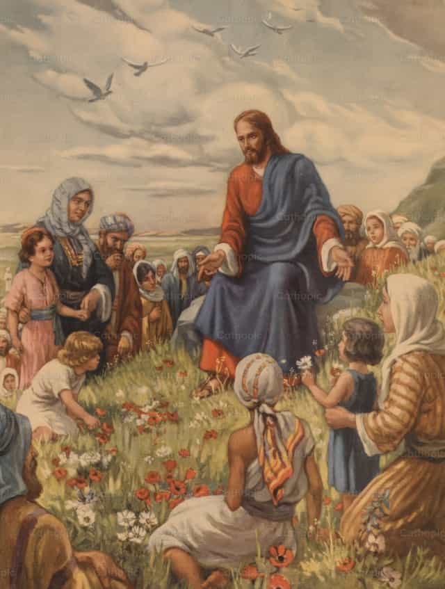 들의 백합을 보라 - 가톨릭 스톡 이미지 - 사진 제공 Restored Christian Art
