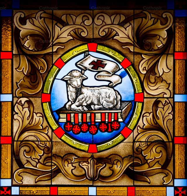 Lamb of God - Catholic stock images - Photo by Javier Bastidas