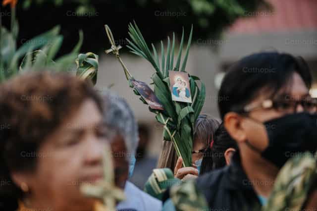 Domingo de ramos - Banco de imágenes católicas