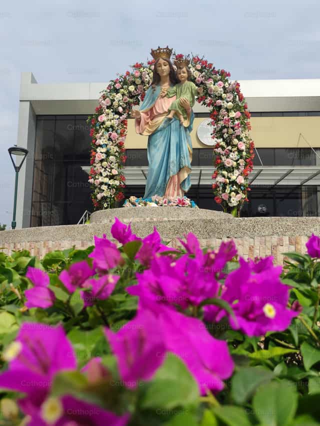 Bendita Virgen María - Banco de imágenes católicas