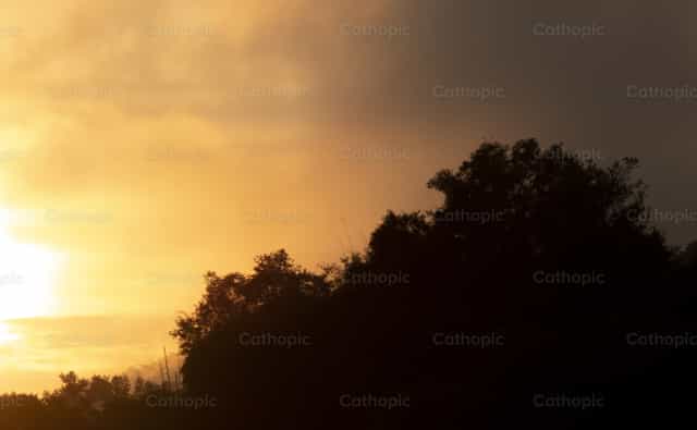Hermosas siluetas del bosque tropical al atardecer - Banco de imágenes católicas - Fotografía por Sandra Otalora
