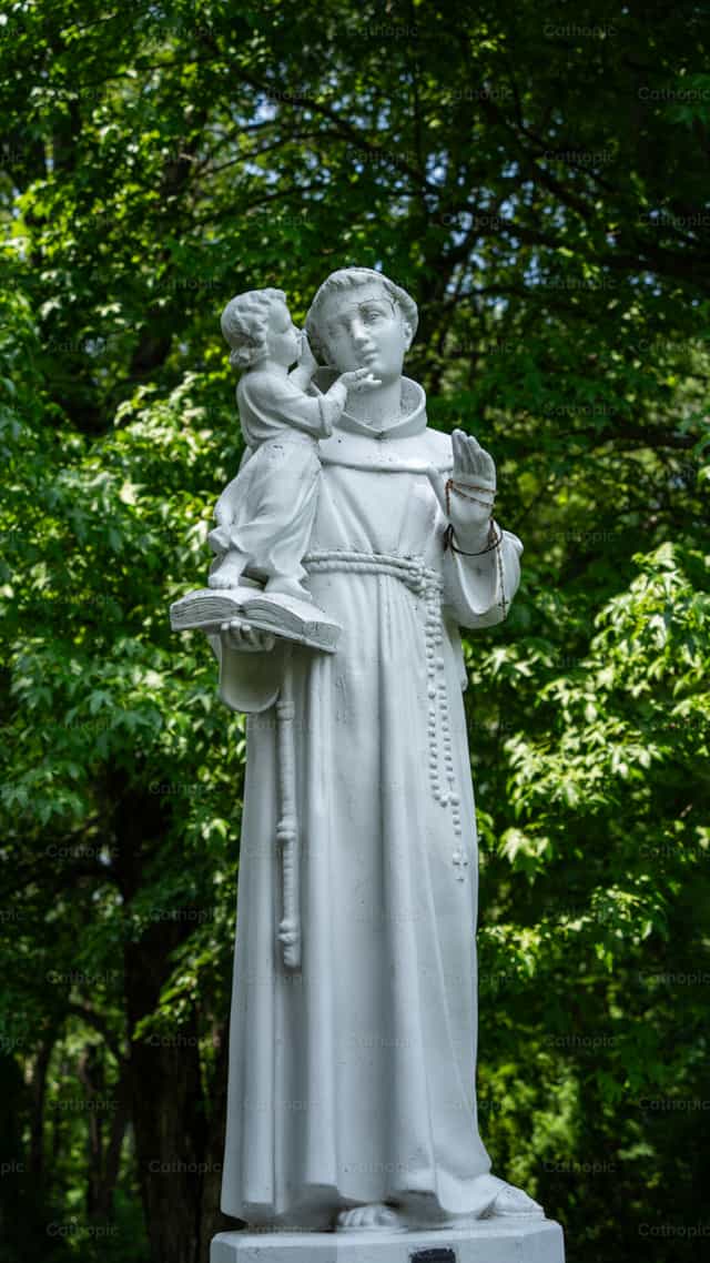 San Antonio de Padua - Banco de imágenes católicas - Fotografía por Fr. Sebastian Munoz