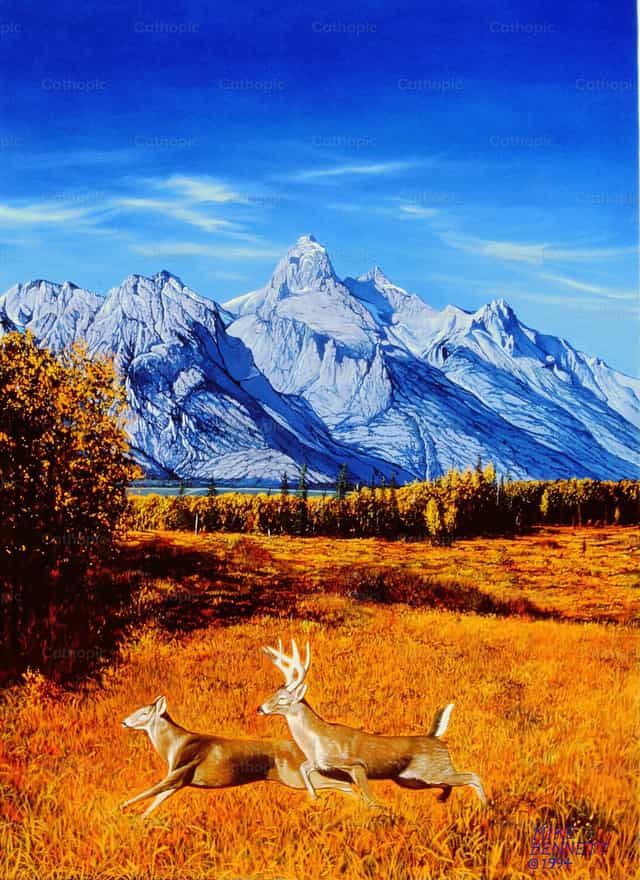 Tetons y ciervos de cola blanca - Banco de imágenes católicas