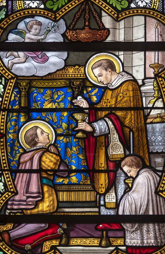 Vidriera de San Carlos Borromeo - Banco de imágenes católicas - Fotografía por Joan Sutter