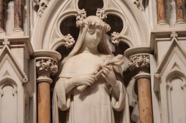 Sainte Rose de Lima - Images catholiques de stock - Photo de encaminados vamos