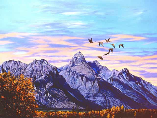 Tetons y gansos canadienses - Banco de imágenes católicas