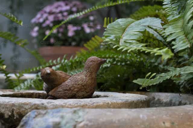 Birdbath - Catholic stock images - Photo by Julián Iglesias