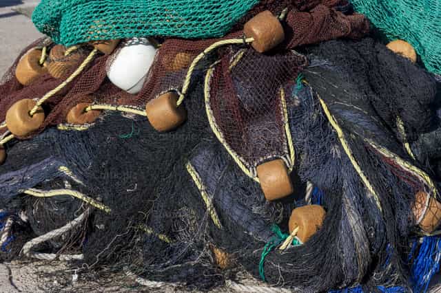 Redes - Banco de imágenes católicas