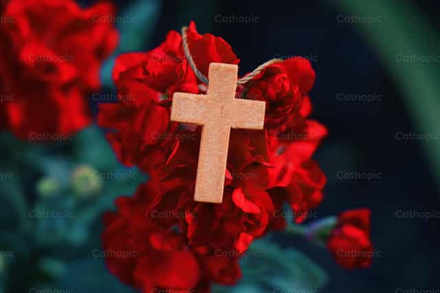 Wherever God plants you...it blooms. - Catholic stock images - Photo by Milagros Berdayes