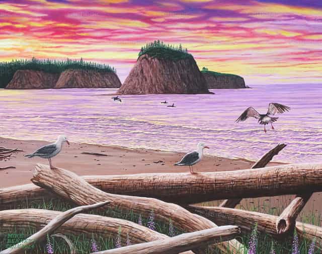 Rialto Beach, Washington - Mga Catholic stock image - Larawan ni Mike Bennett
