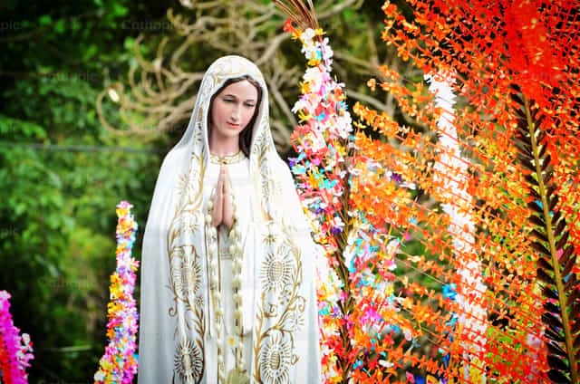 Unsere Liebe Frau von Fatima und Blumen - Katholische Stockfotos - Foto von Enrique Casasola