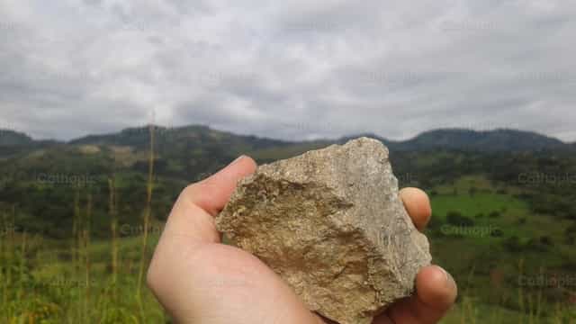 Roca en mano - Banco de imágenes católicas