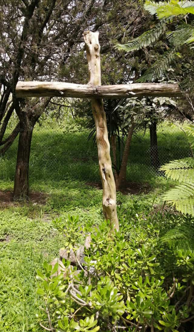 Salvação - Imagens católicas de stock - Foto de goyolru