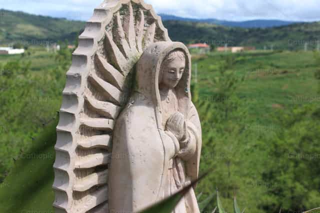Vergine Maria di Guadalupe - Immagini stock cattoliche