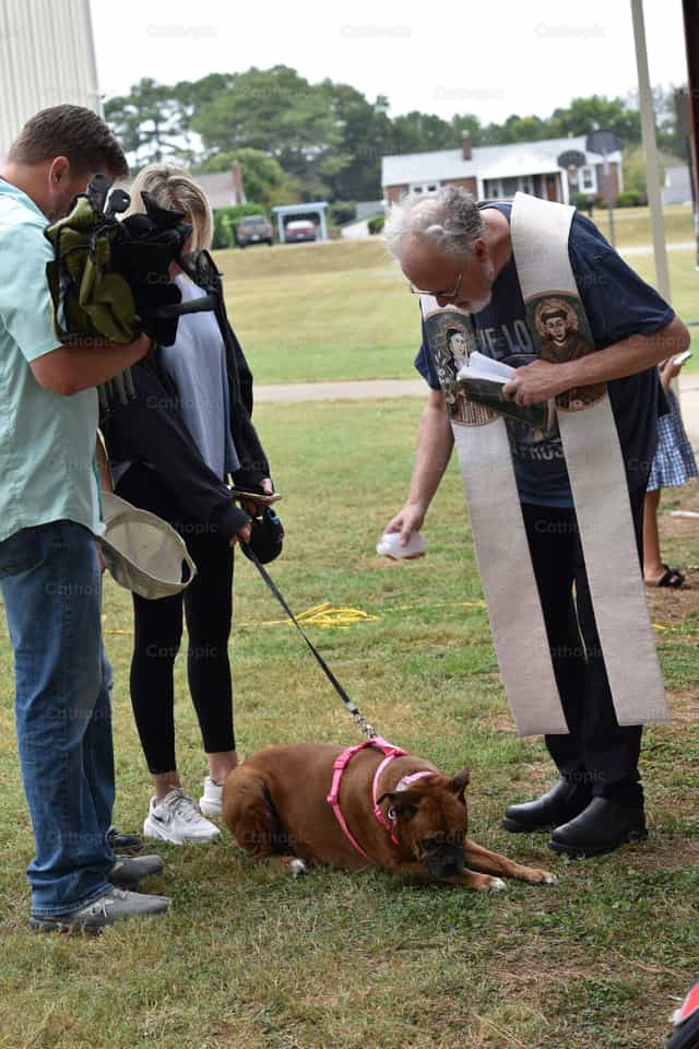 Ein Haustierhund erhält einen Segen – St.-Franziskus-Tag - Katholische Stockfotos
