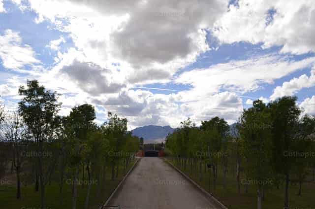 Camino en paisaje - Banco de imágenes católicas