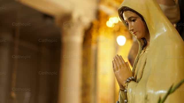 Notre-Dame de Fatima - Images catholiques de stock