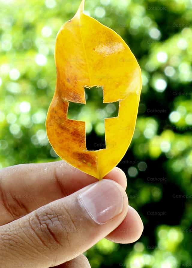 Croix sur une feuille - Images catholiques de stock