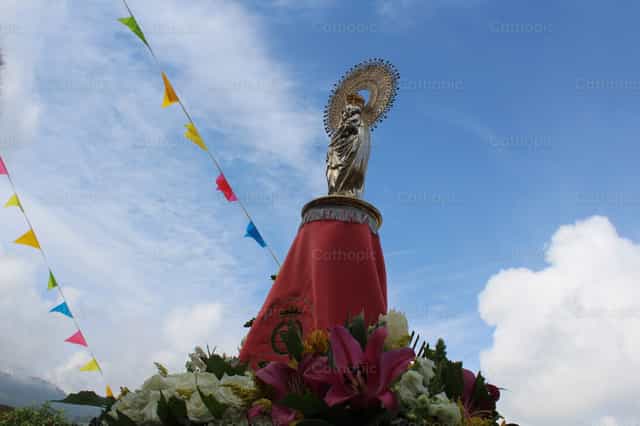 Virgen del Pilar en procesion - Banco de imágenes católicas