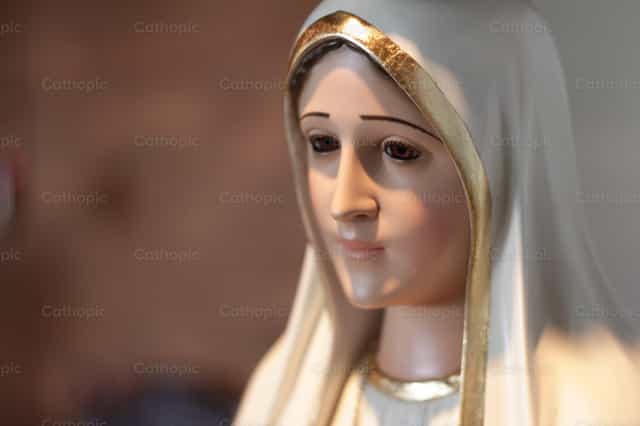 Statue of Our Lady of Fatima - Catholic stock images