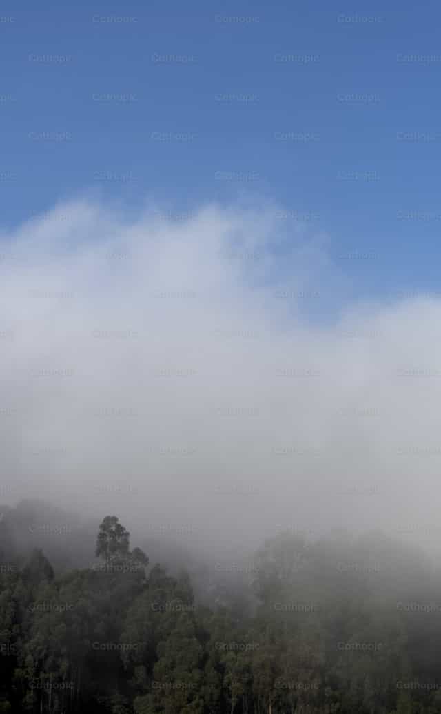 Bosque nublado con cielo azul - Banco de imágenes católicas - Fotografía por Sandra Otalora
