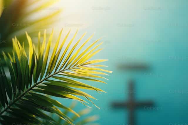 圣枝主日——背景 - 天主教图库图片