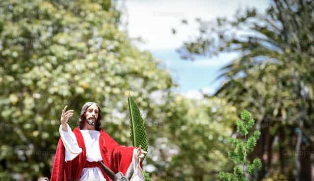 Domingo de ramos - Banco de imágenes católicas - Fotografía por Carolina BR