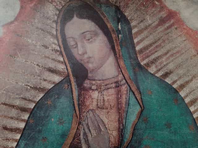 Virgin of Guadalupe - Catholic stock images
