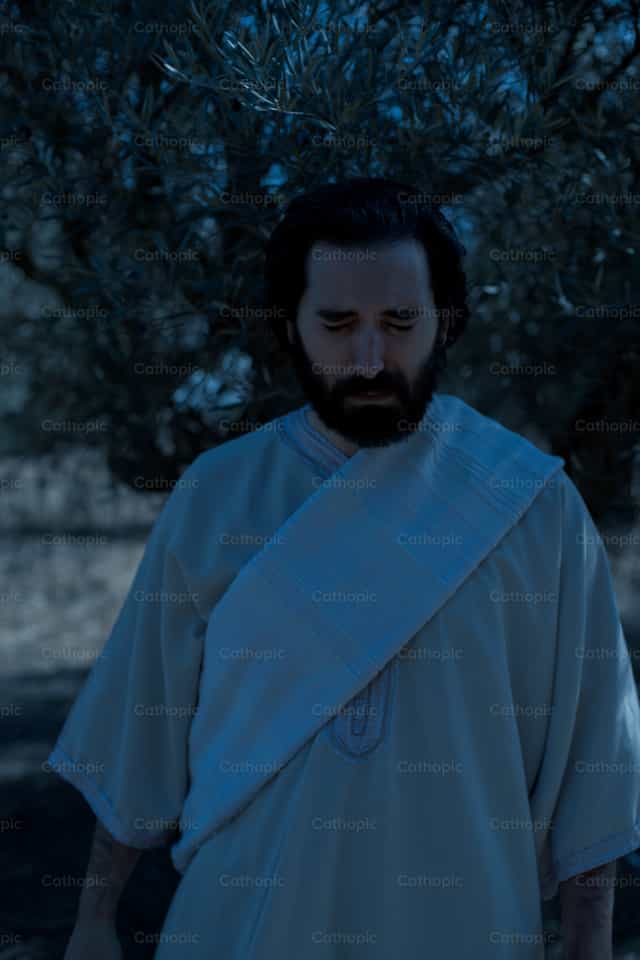 Angustia de Jesús en el Huerto de los Olivos - Banco de imágenes católicas