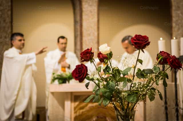 Rosas y sacerdotes - Banco de imágenes católicas