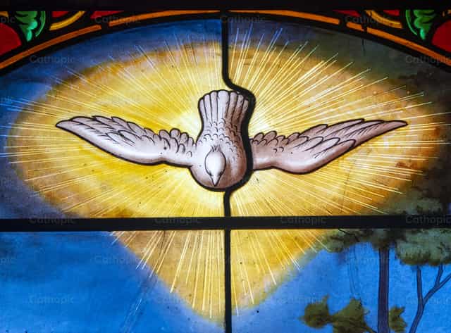 Representation of the Holy Spirit in the form of a dove - Catholic stock images - Photo by Joan Sutter