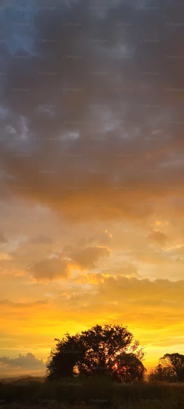 Tramonto in campagna, luce del sole - Immagini stock cattoliche