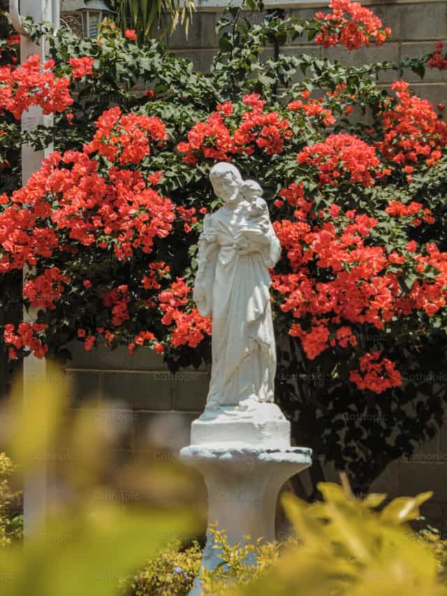 Saint Joseph and Roses - Catholic stock images