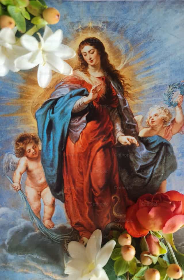 Virgen Asunta a los cielos - Banco de imágenes católicas