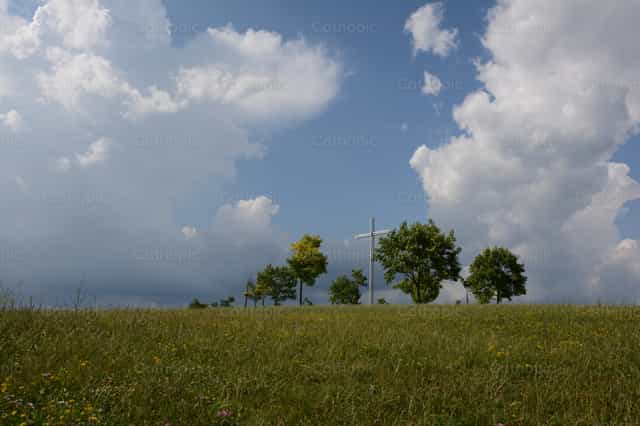 Campo Verde - Banco de imágenes católicas - Fotografía por Vytautas Markūnas SDB