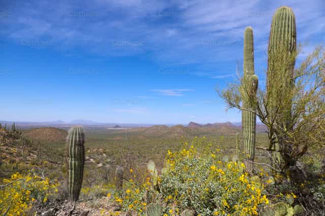 Valle del Desierto - Banco de imágenes católicas