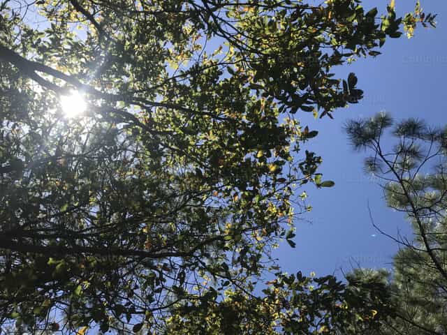 仰望天空 - 天主教图库图片