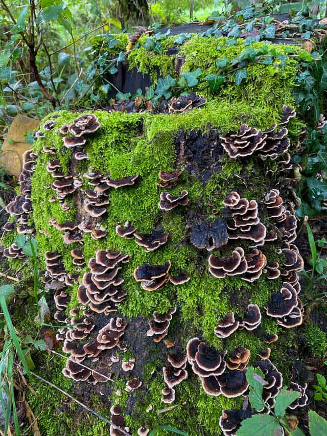 Naturaleza - Banco de imágenes católicas