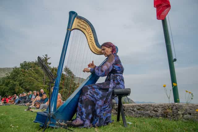 Un’arpista suona un’arpa blu durante un concerto all’aperto - Immagini stock cattoliche - Foto di Pierluigi Palazzi