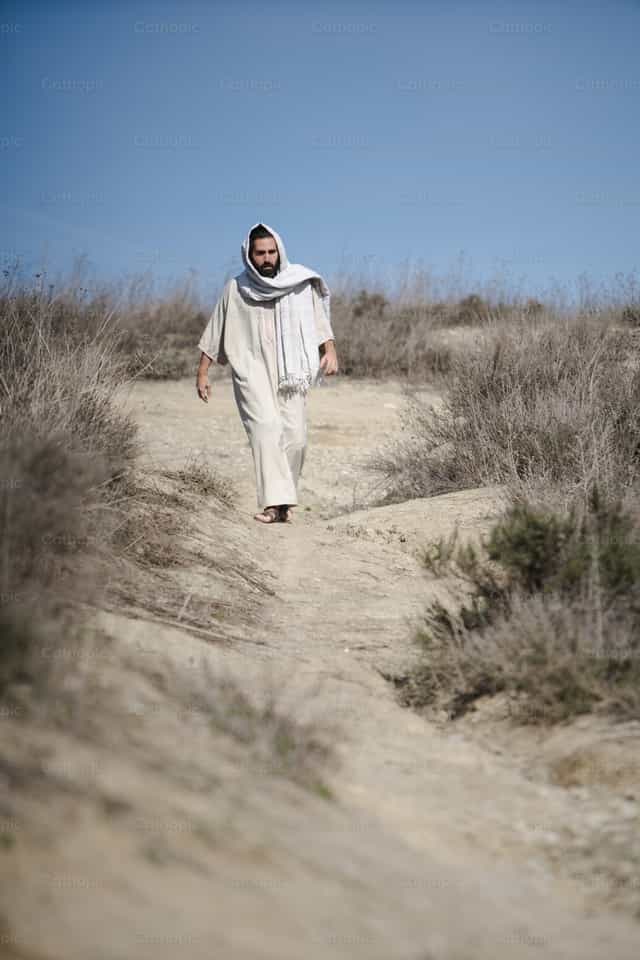 Jesús en el desierto - Banco de imágenes católicas - Fotografía por Cathopic